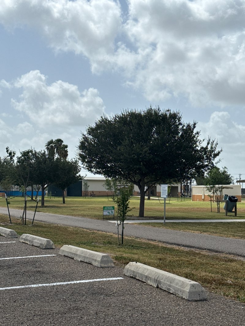 walking near me in Silvia Vela Park in summer
