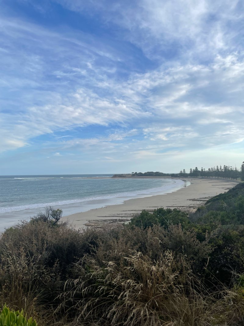 walking near me in Taylor Park in summer