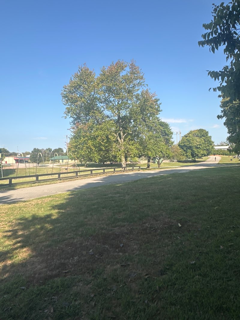 walking near me in Woodford County Park in autumn