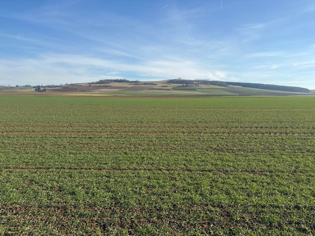 walking near me in Paradies in spring