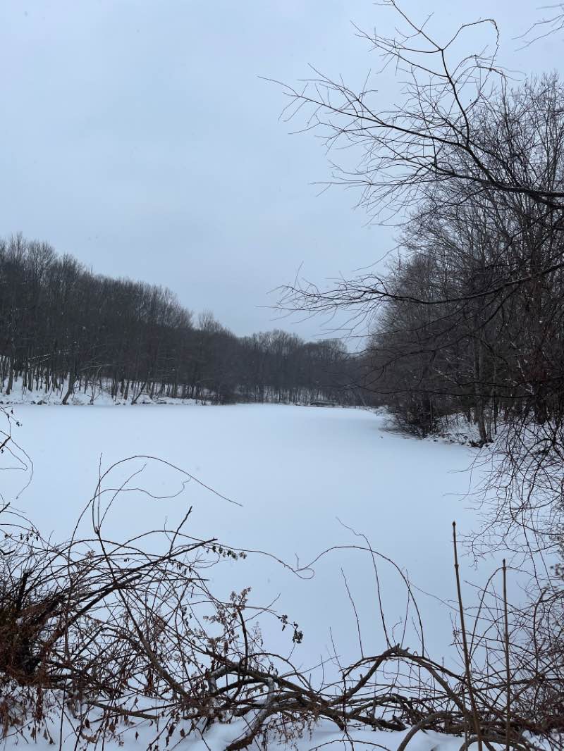 walking near me in Hinckley Park in winter