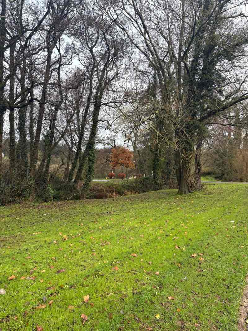 walking near me in Ballincollig Regional Park in winter