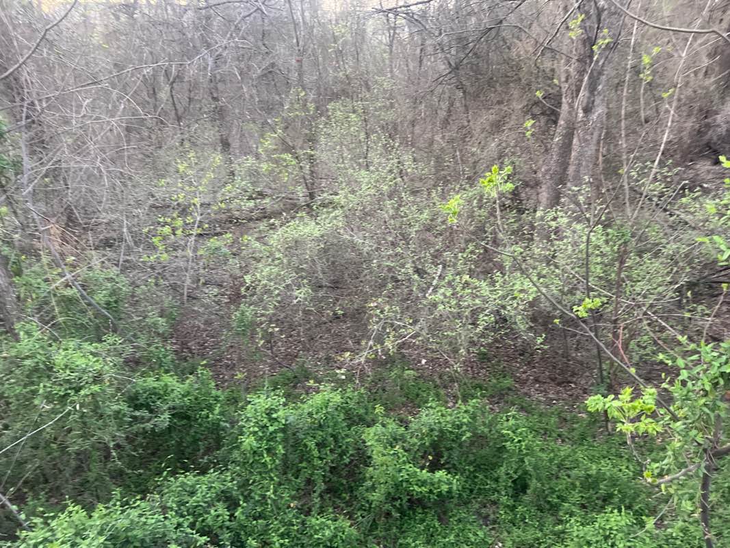 walking near me in CityLine Park in spring