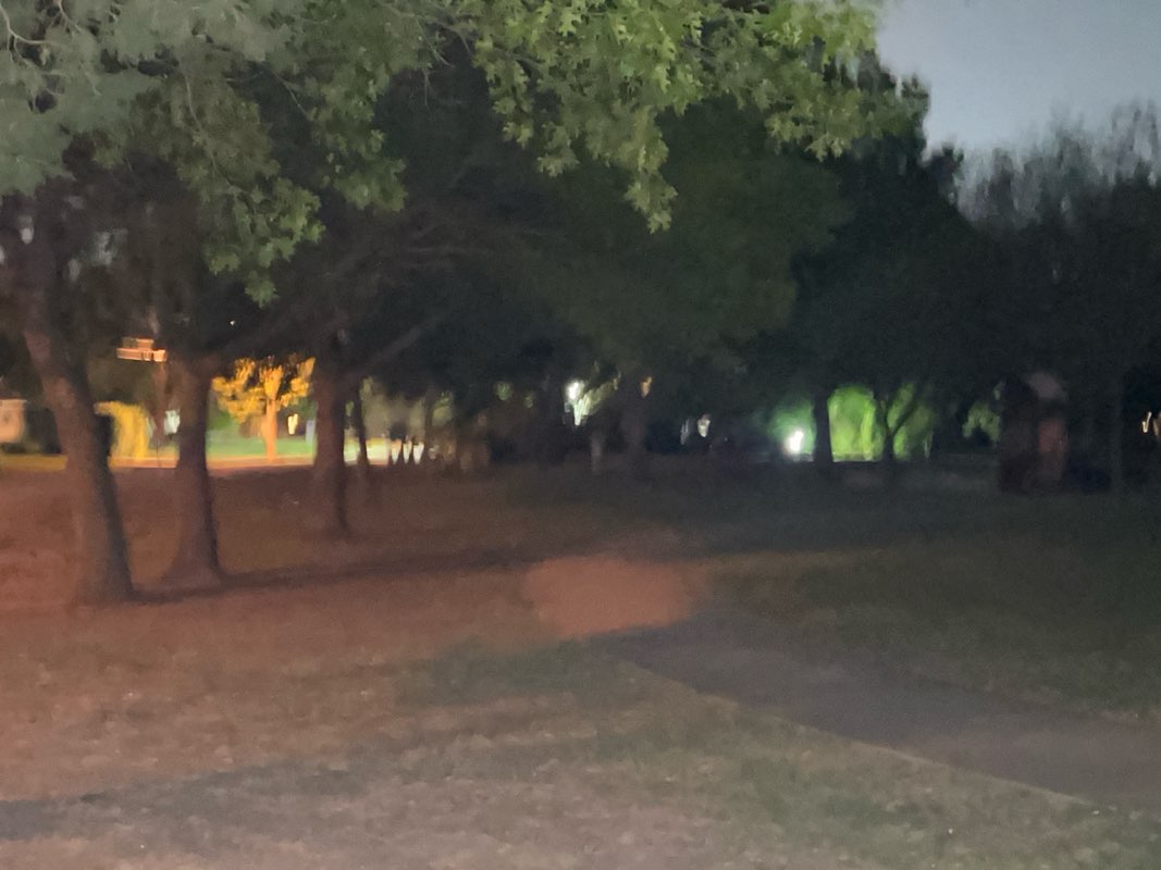 walking near me in Allenwood Park in spring