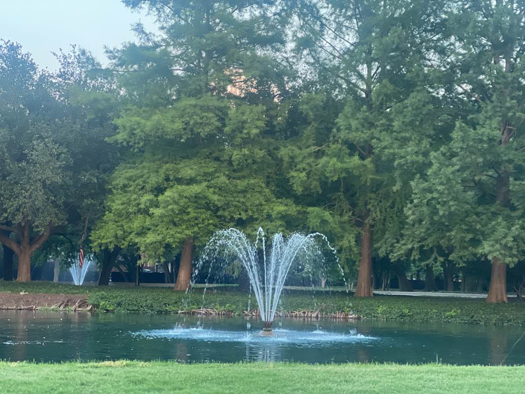 walking near me in Bolin Park in spring