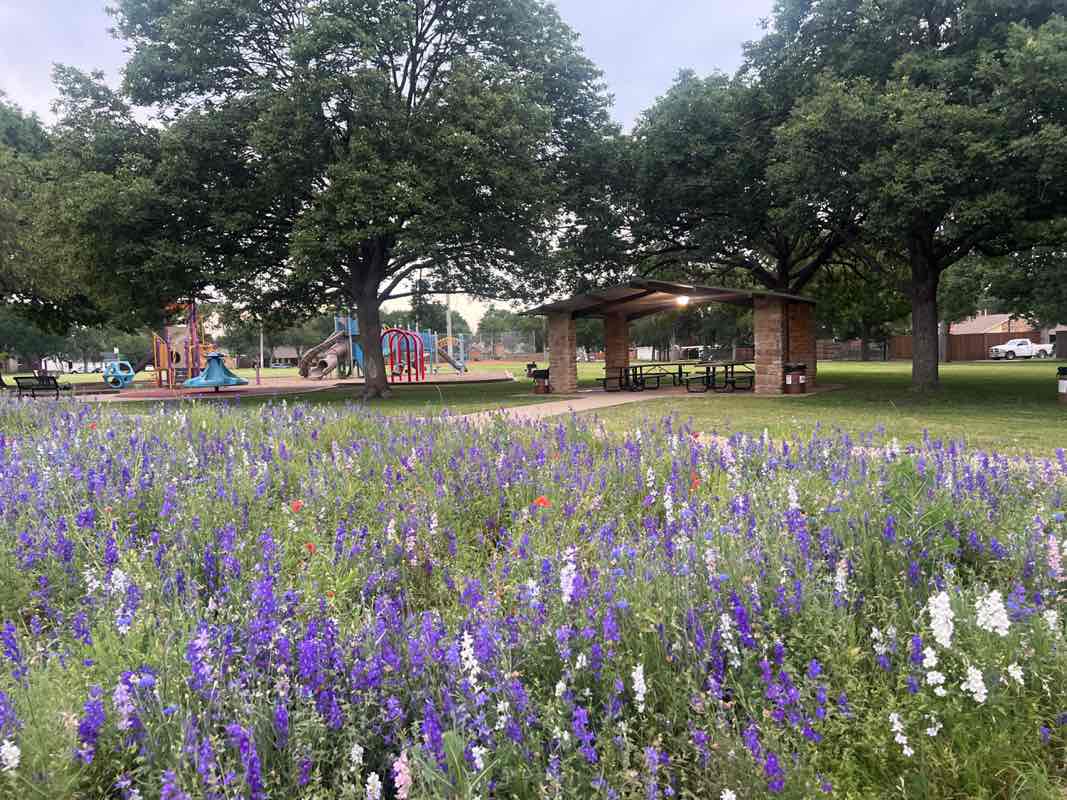 walking near me in Canyon Creek Park in spring