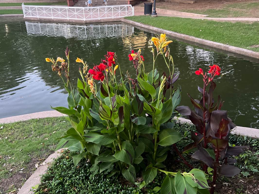 walking near me in Haggard Park in summer
