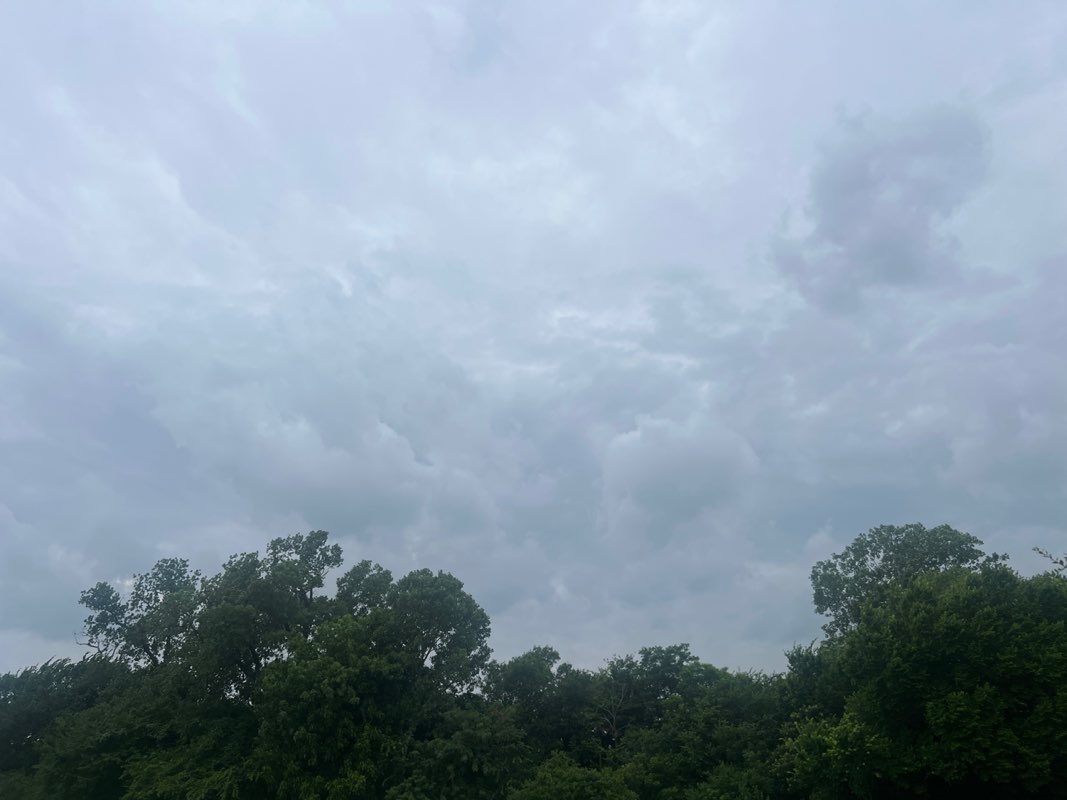 walking near me in Capstone Park in summer