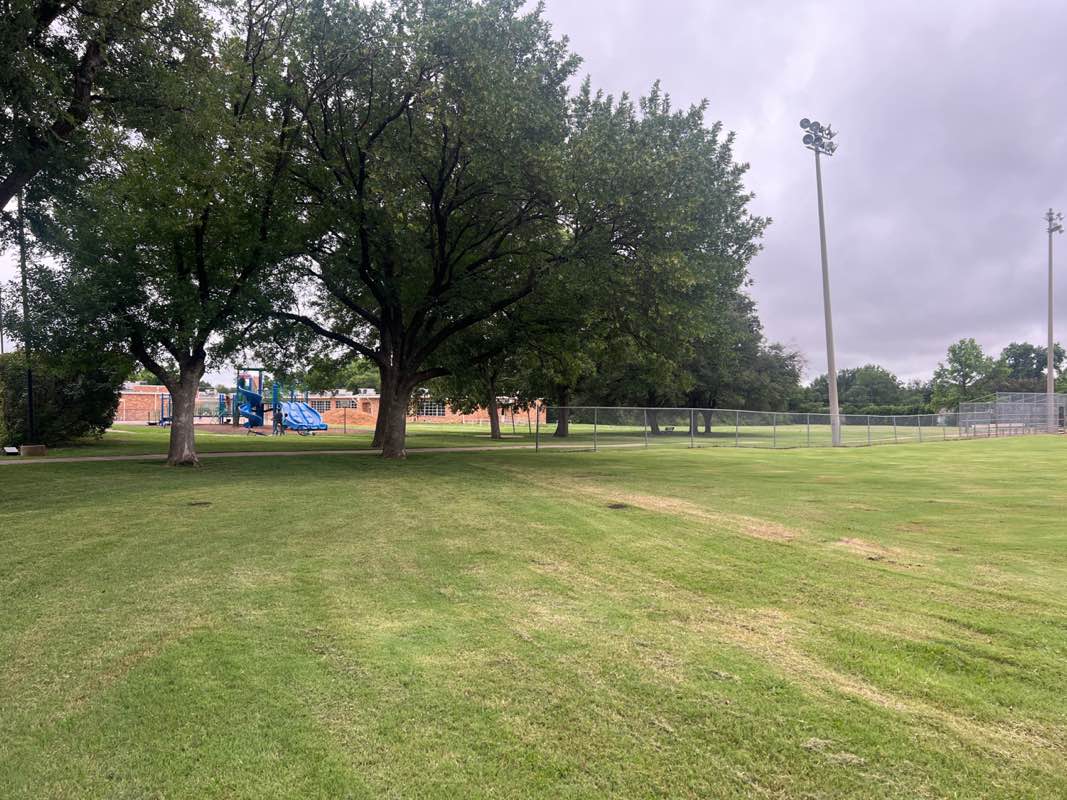 walking near me in Woodland Park in summer