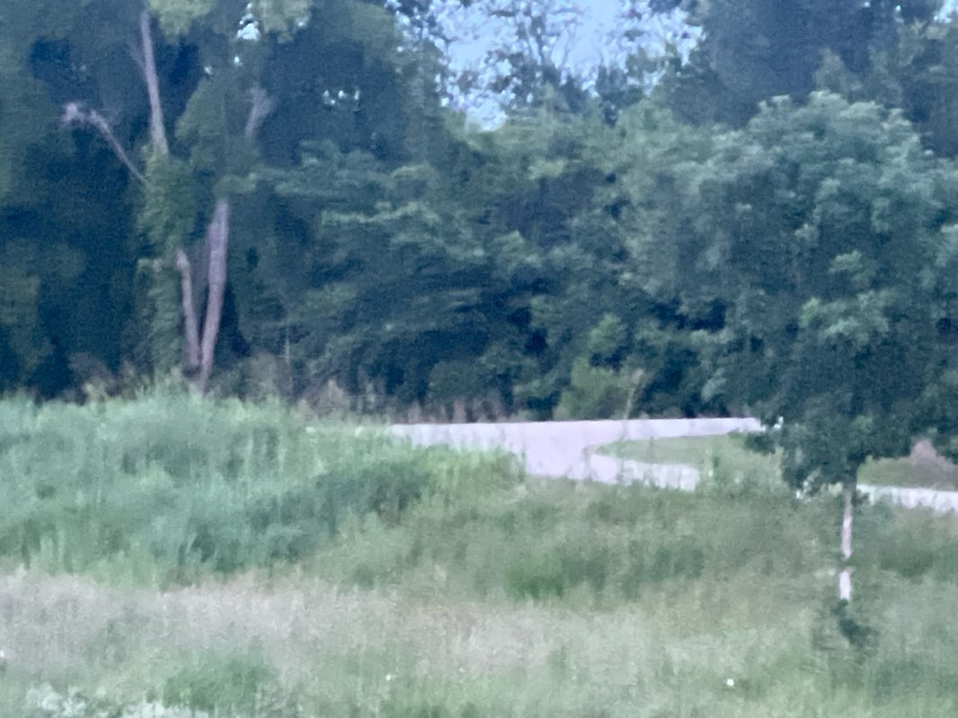 walking near me in Fox Creek Park in summer