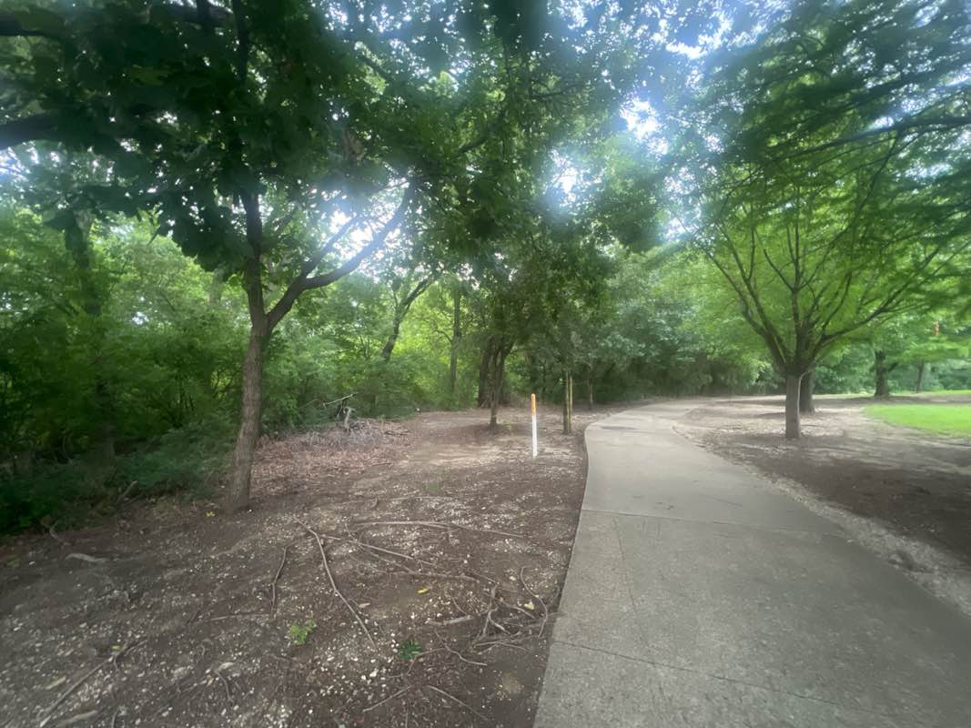 walking near me in Custer Meadows in summer