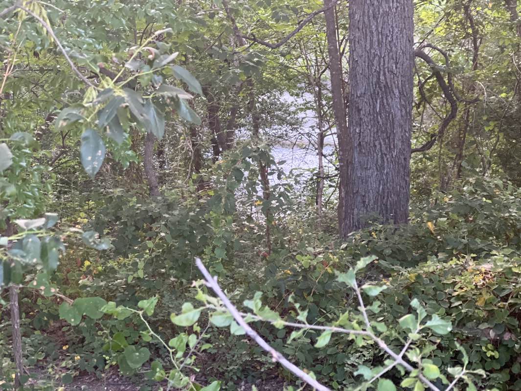 walking near me in The Bluffs at Lost Creek in autumn