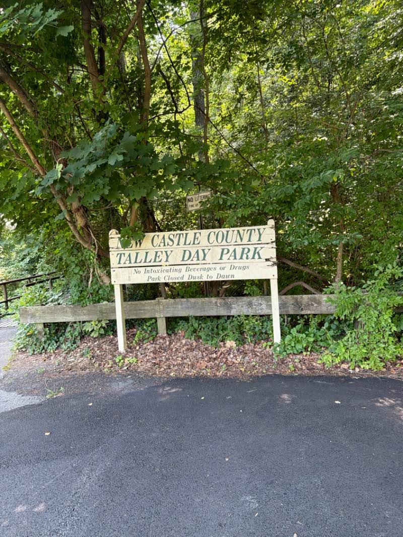 walking near me in Talley Day Park in summer