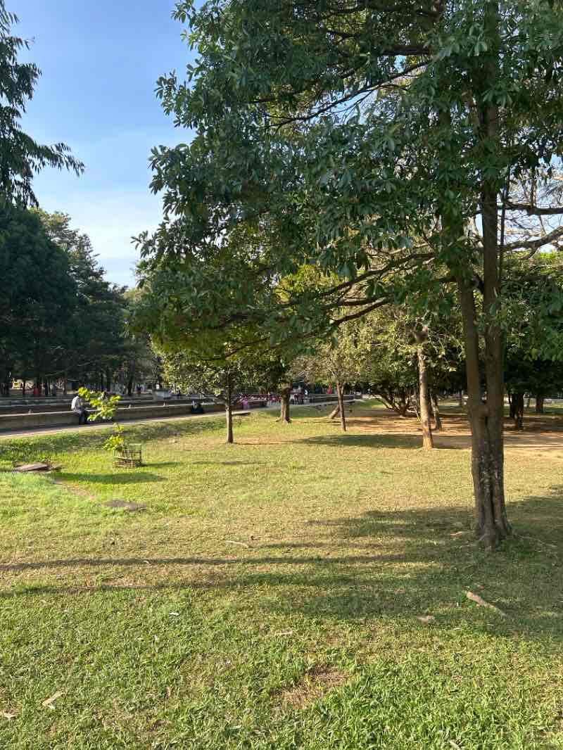 walking near me in Independence Square Park in winter
