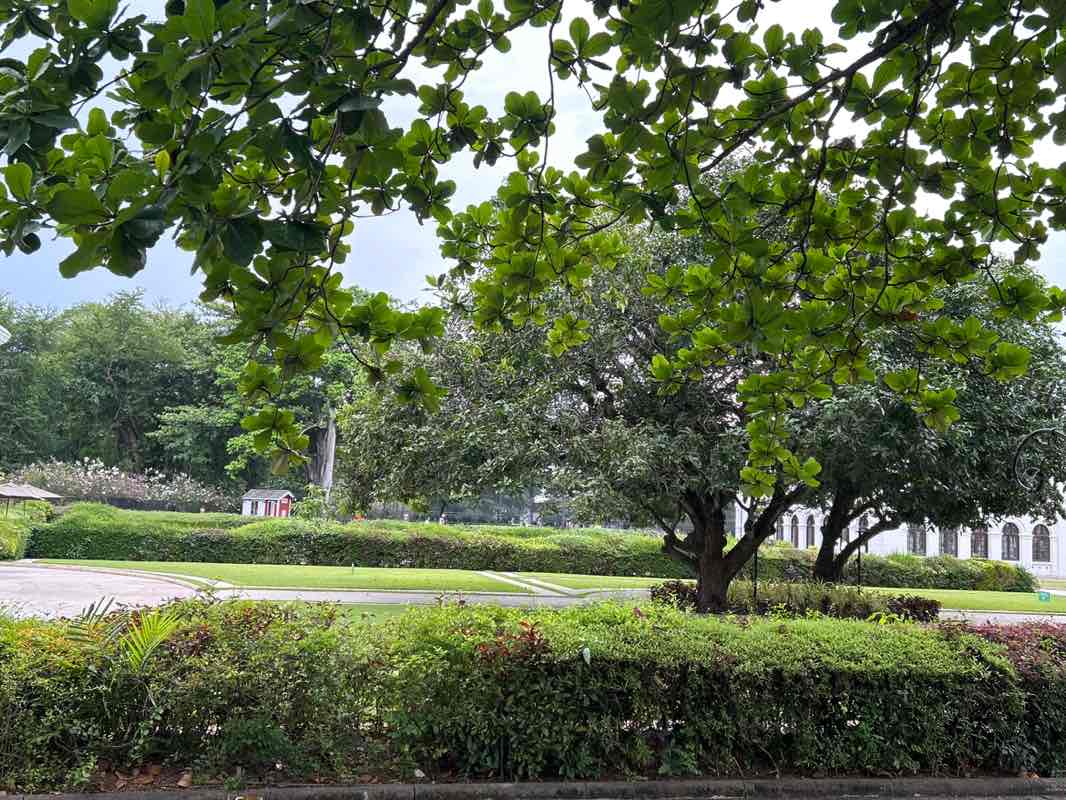 walking near me in Arcade Independence Square Park in spring