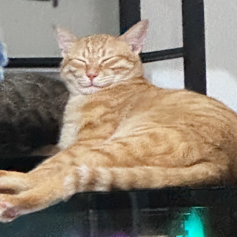 大偉