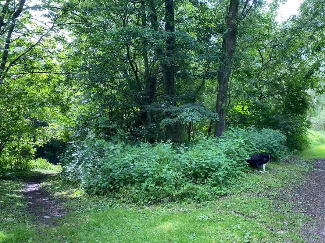 walking near me in King George Fields in winter