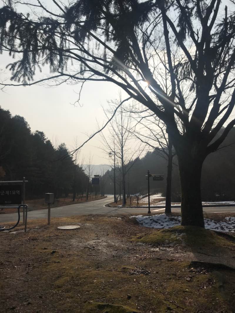 walking near me in 야생화공원 in winter