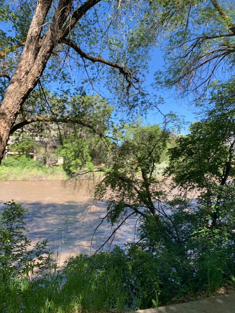 walking near me in Veltus Park in winter