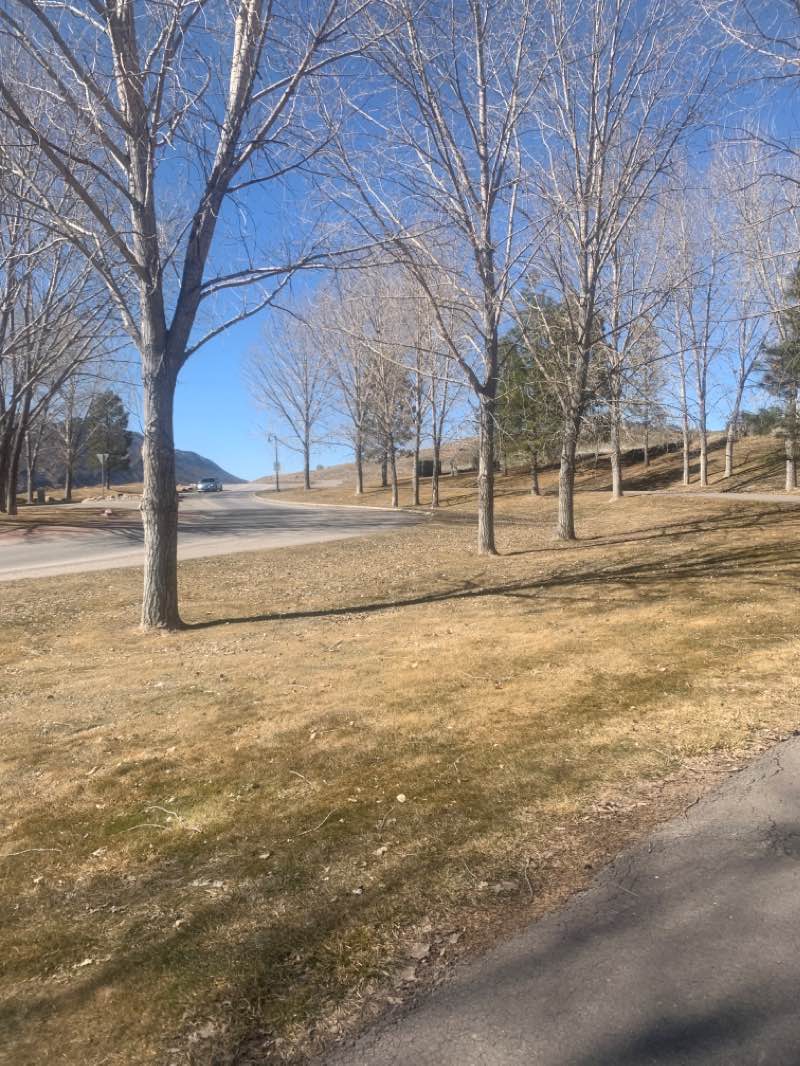 walking near me in Bear Dance Park in spring
