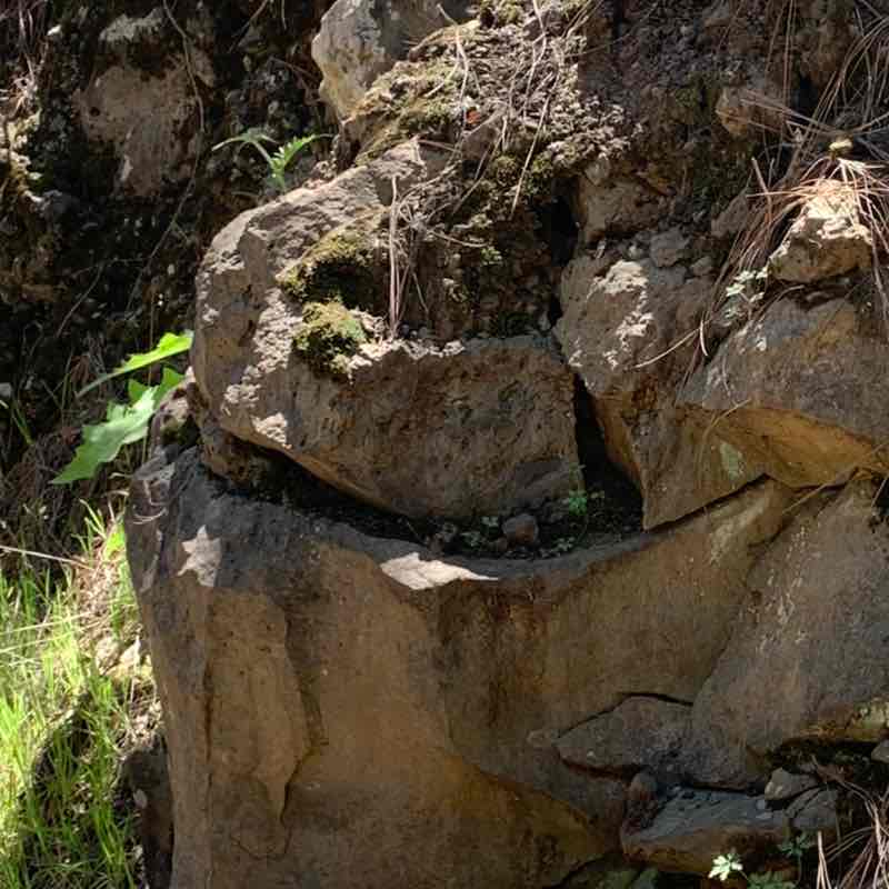 FRANCISCO JAVIER post 1