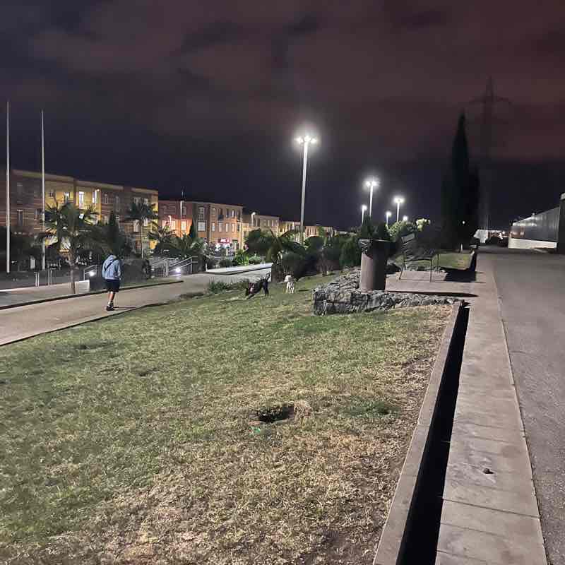 FRANCISCO JAVIER post 1