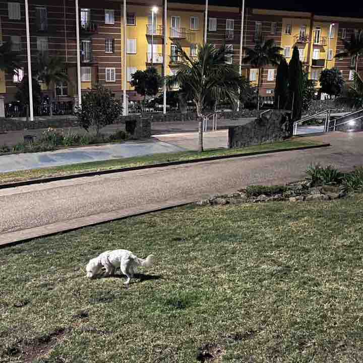 FRANCISCO JAVIER post 2