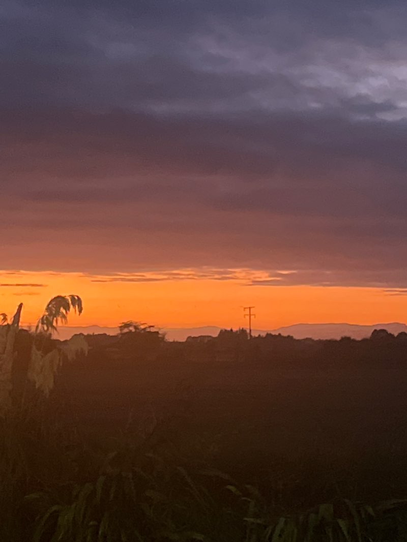 walking near me in Matawai Park in summer