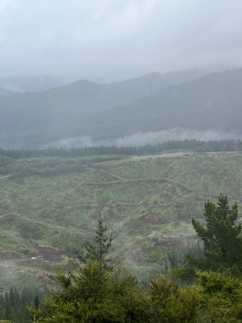 walking near me in Chisholm Park in summer