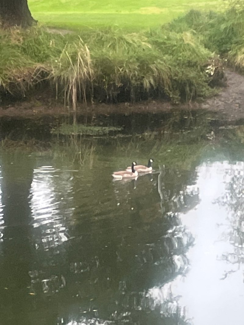 walking near me in Trousselot Park in summer