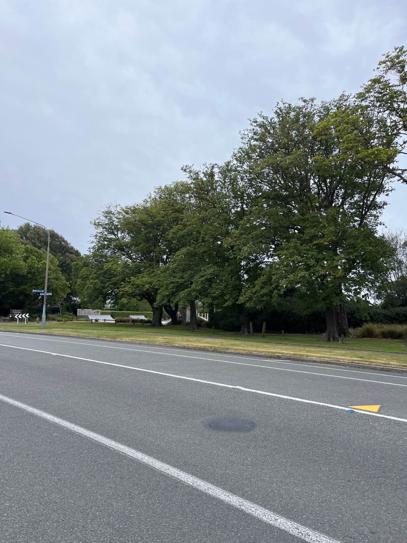 walking near me in St Albans Park in summer