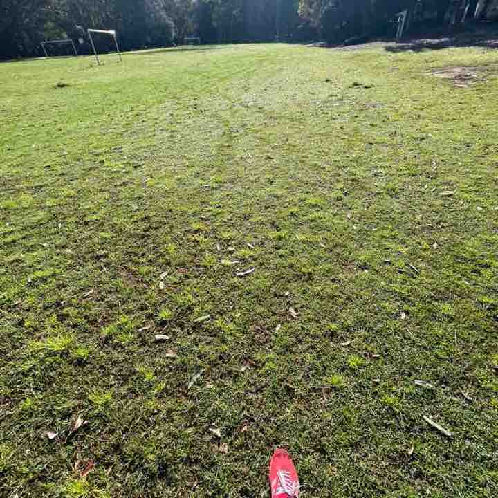 Christiana Leimena-Lehn post 1