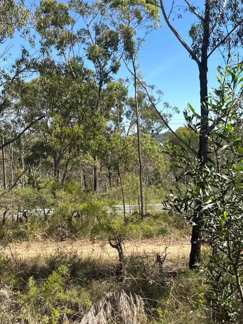 walking near me in Thirlmere Lakes National Park in summer
