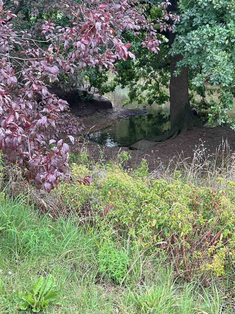 walking near me in Corbett Gardens in summer