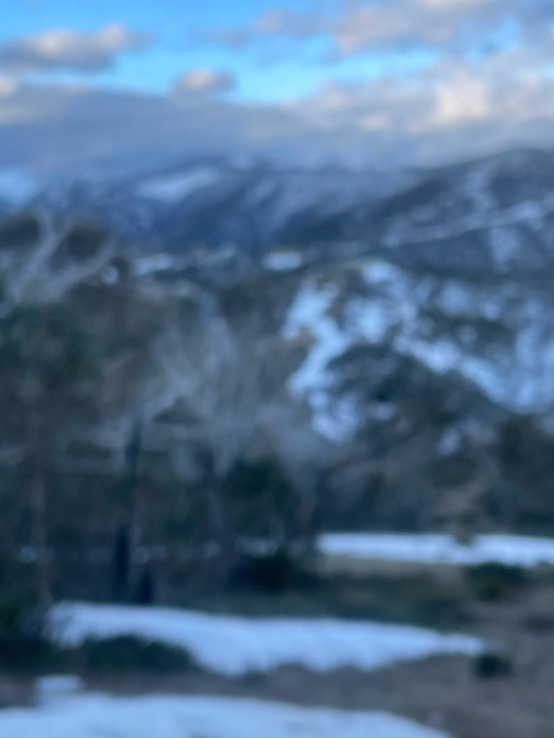walking near me in Wongungurra River headwaters Natural Catchment Area in spring