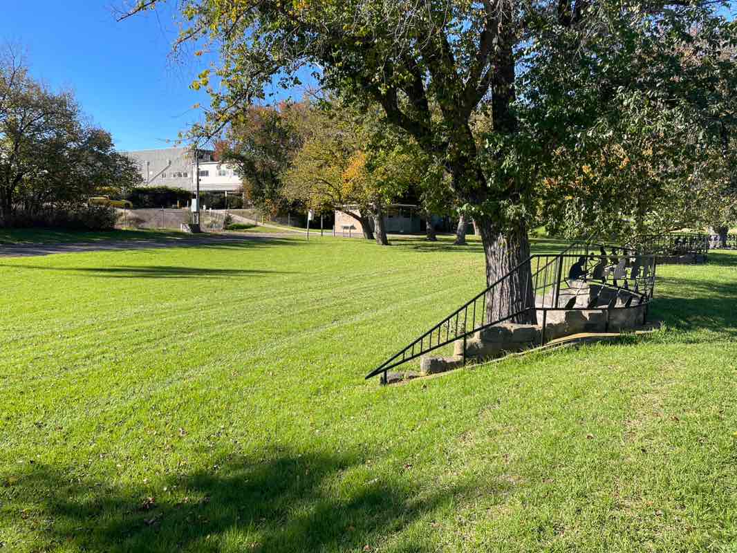 walking near me in Bob Morell Reserve in autumn