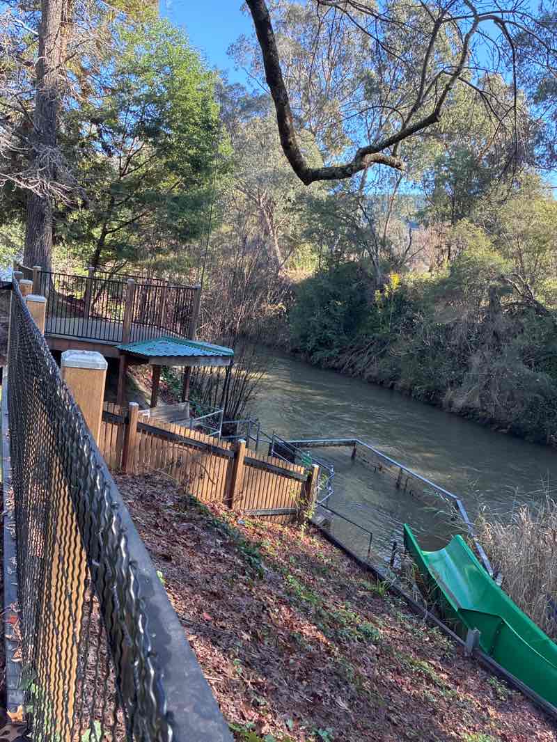 walking near me in Centenary Park in winter