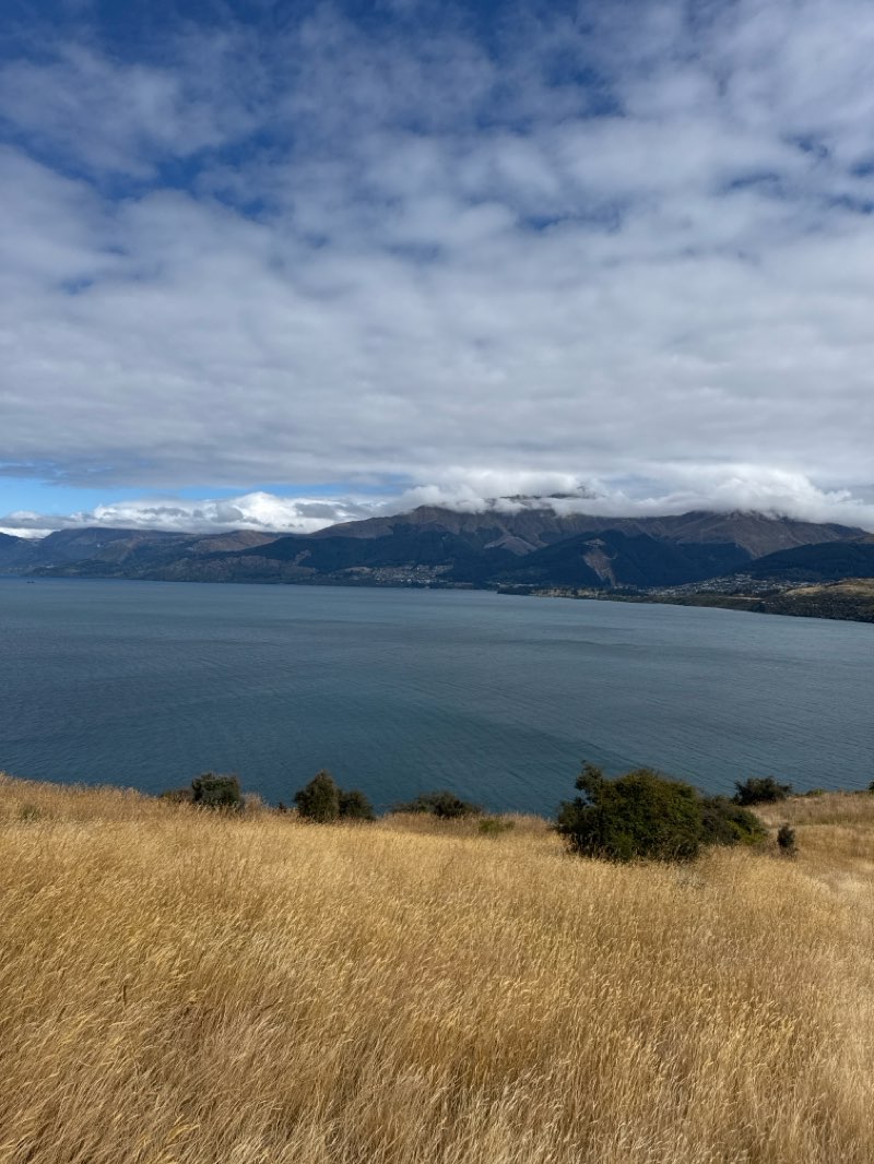walking near me in Jardine Park in summer