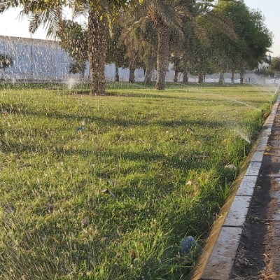 Amazing Steps💙🦜 ZAKI NASSER ALSHUWAISH. post image