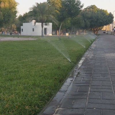 Amazing Steps💙🦜 ZAKI NASSER ALSHUWAISH. post image