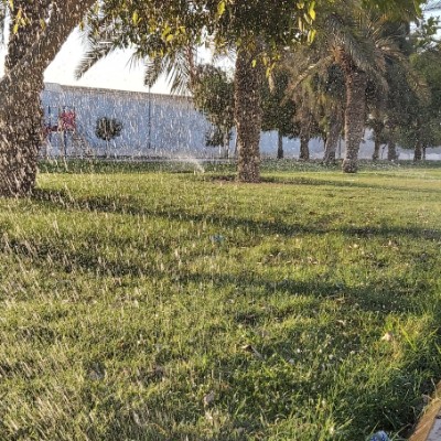 Amazing Steps💙🦜 ZAKI NASSER ALSHUWAISH. post image