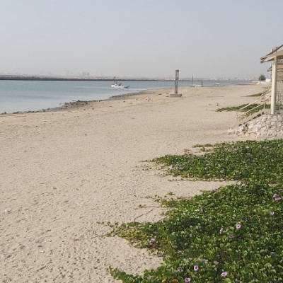 Amazing Steps💙🦜 ZAKI NASSER ALSHUWAISH. post image