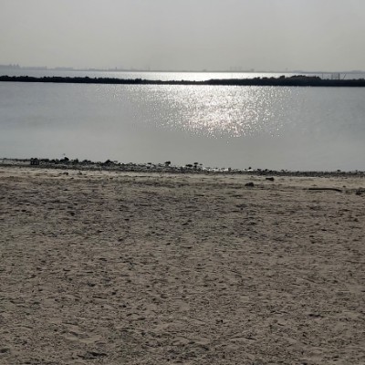 Amazing Steps💙🦜 ZAKI NASSER ALSHUWAISH. post image