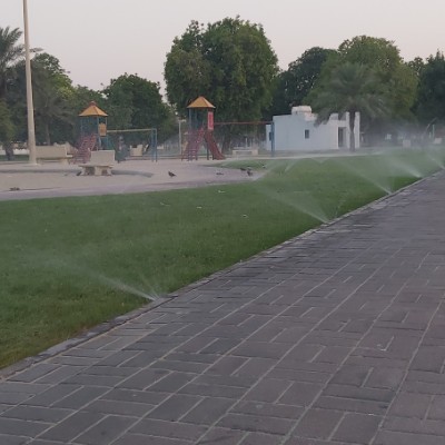 Amazing Steps💙🦜 ZAKI NASSER ALSHUWAISH. post image