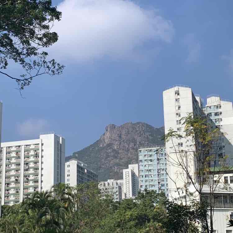 elineloi.hk post 2
