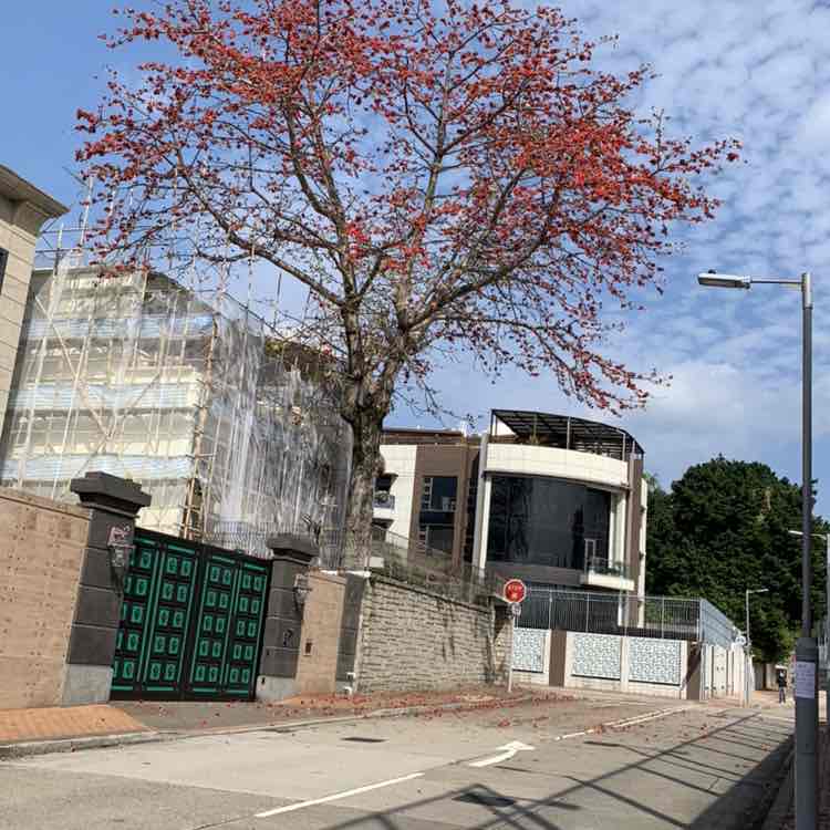elineloi.hk post 1