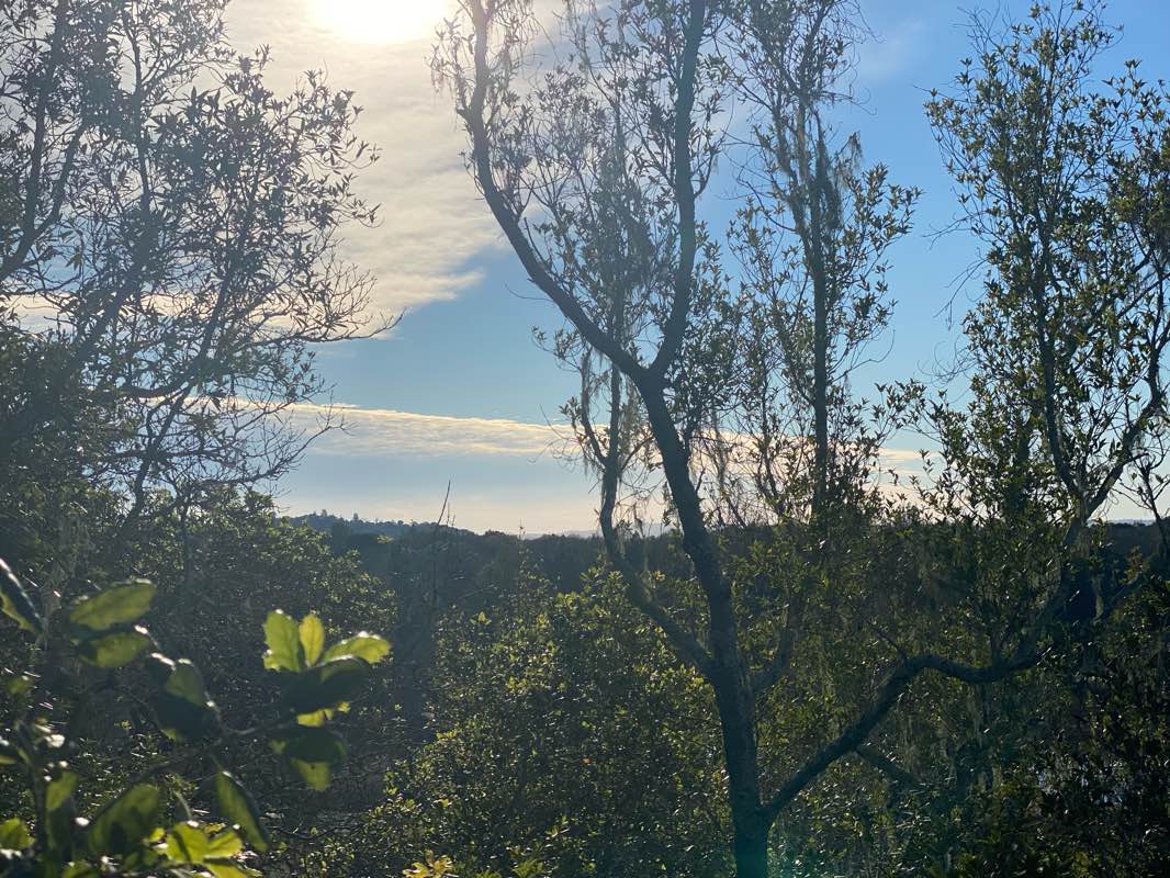 walking near me in Spring Lake Park in winter