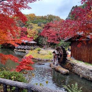 KAYO