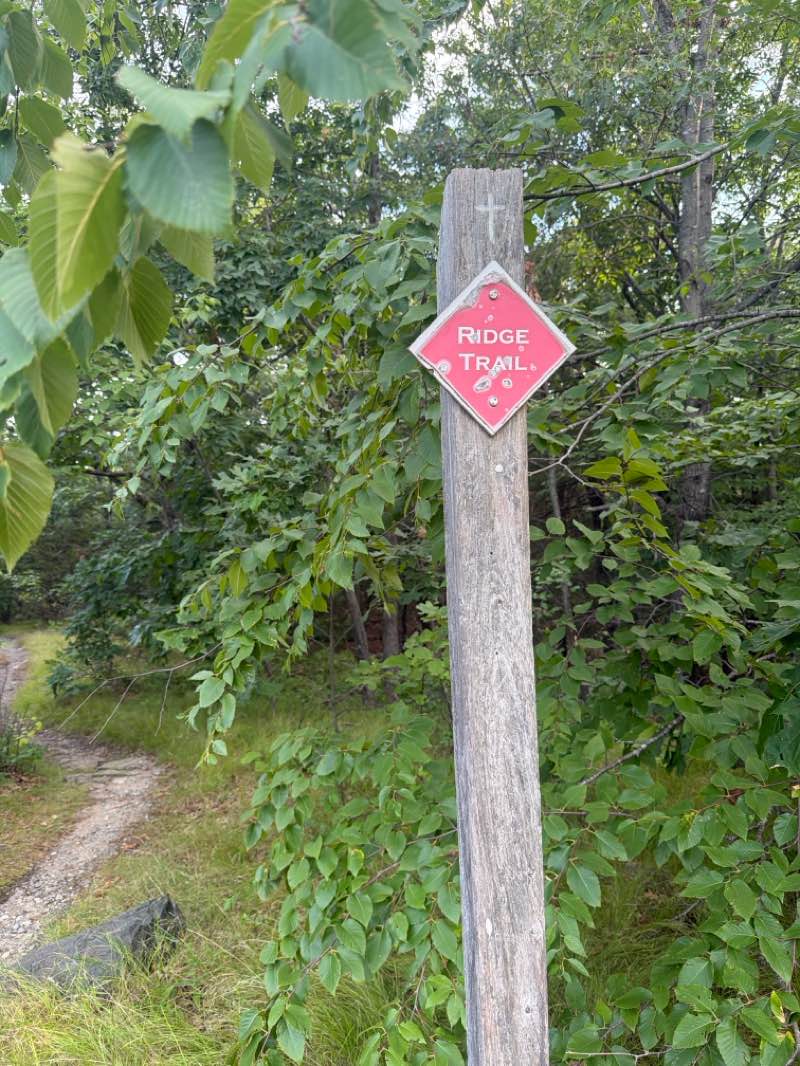walking near me in Prospect Hill Park in summer