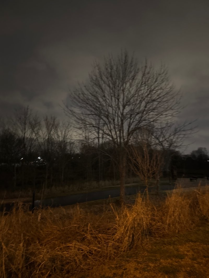 walking near me in Marsh Park in winter